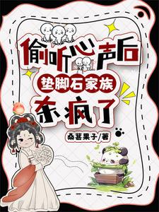 垫脚石游戏视频