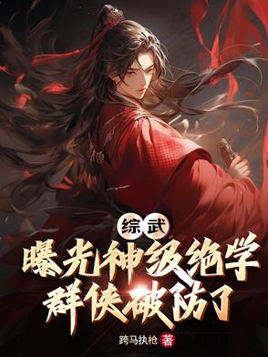 综武的小说