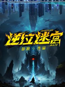 逆位迷宫小说TXT下载
