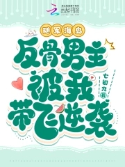 随军海岛,反骨男主被我带飞逆袭免费阅读