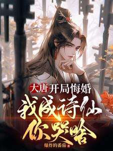 大唐谁让这个驸马上朝的小说