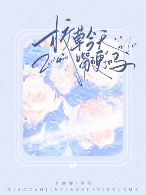 校草今天向我