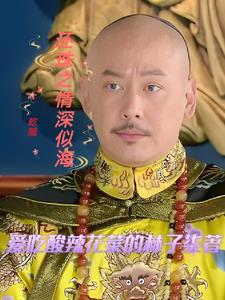 还珠之情深似海小说