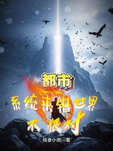 系统出错小说