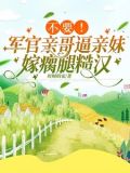乖媳妇换包装了吗