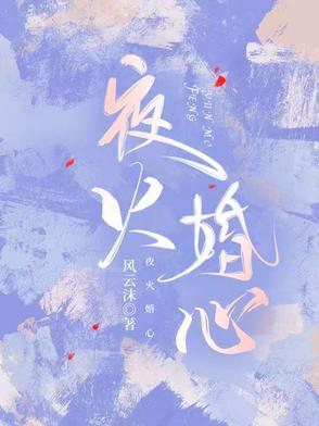 夜火婚心小说