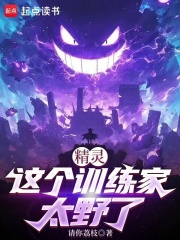 这个精灵训练师有点强