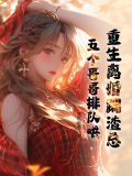 重生离婚吧小说
