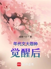 年代文大院小说