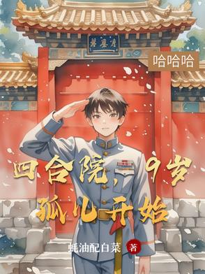 四合院一大爷养子
