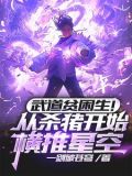 武道贫困生!从杀猪开始横推星空 小说