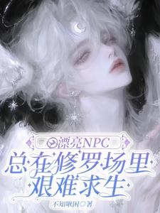 小漂亮npc美貌值爆表宋衿