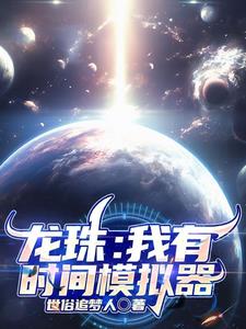 龙珠我有时间模拟器小说