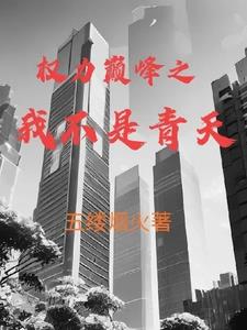 权力巅峰之我不是青天1034