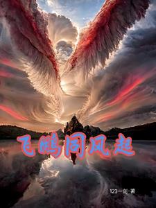 飞鹏乘风
