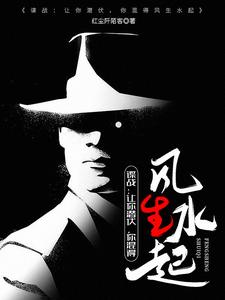 《谍战上海滩》