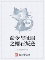 命令与征服 日本
