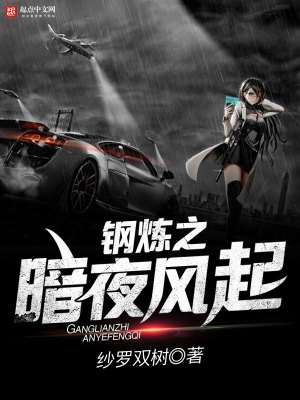 钢炼之永夜风雷