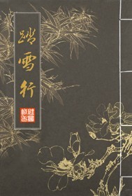 [综武侠]踏雪行晋江文学城