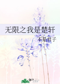 [无限恐怖]我是楚轩他哥 小说
