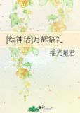 综 月神辉夜姬