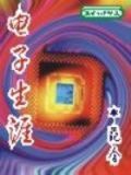 电子生涯榜样