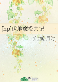 [hp]伏地魔投共记
