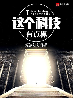 这个科技有点黑 小说