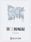 崛起之第三帝国百科