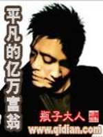 平凡的亿万富翁免费阅读
