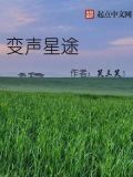 变声sdk