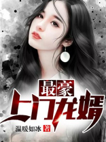 最豪上门龙婿陆风女主