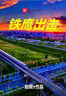 铁鹰出击有声小说在线收听