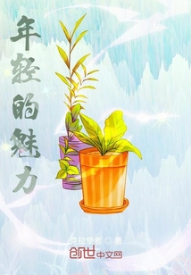 年轻的魅力
