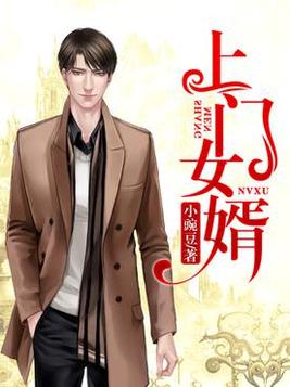 上门女婿叶辰小说全文免费阅读