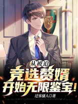 从被迫竞选赘婿开始无限鉴宝! 迁客骚人