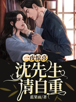 一夜惊喜:沈先生,请自重