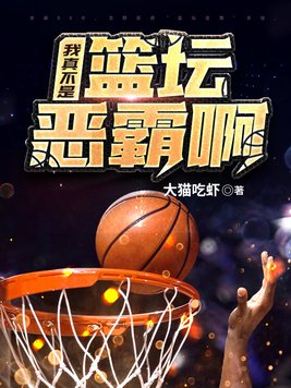 我真不是篮坛拳王