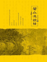 小说碧血洗银枪