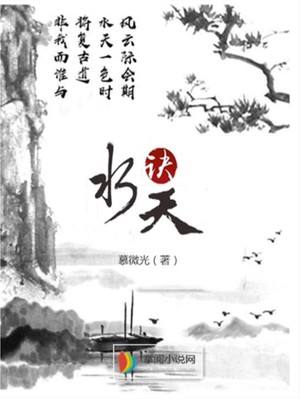 水天决小说