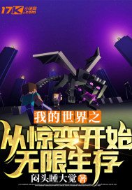 我的世界之从惊变开始无限生存 小说
