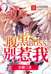 腹黑boss别惹我小说