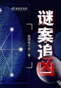 谜案追凶饭团桃子控百度网盘