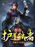 都市护花小说