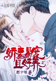 娇宠老婆全文免费阅读