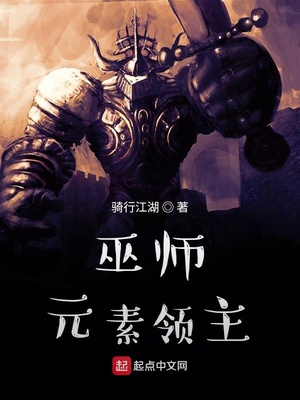 巫师:元素领主TXT下载
