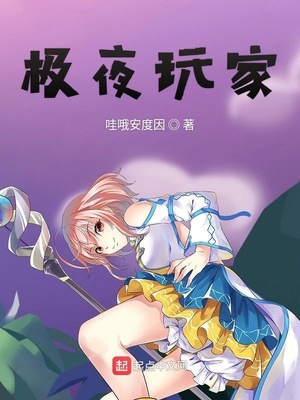 极夜玩家女主有多少个