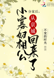 分家后小寡妇相公从京城回来了小说