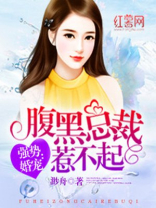 腹黑总裁惹不起小说