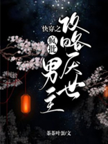 快穿之攻略 小说